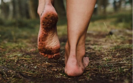 Bệnh Giun Móc Ancylostoma Duodenale: Tổng Quan Và Cách Phòng Ngừa