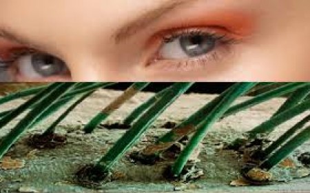 Một Số Điều Cần Biết Về Ký Sinh Trùng Demodex Trên Da Người