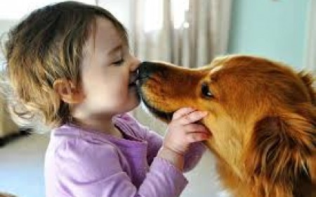 Dấu hiệu bị sán chó mèo cần lưu ý