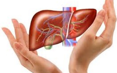 Biểu Hiện Của Bệnh Sán Lá Gan Cần Phải Biết