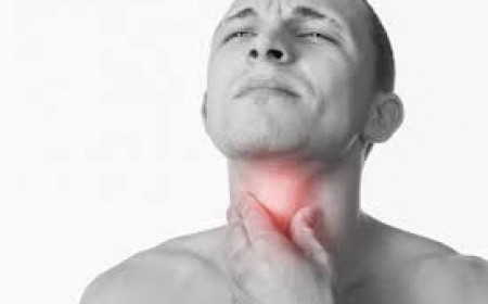 Chẩn Đoán Và Điều Trị Viêm Hạch Do Toxocara