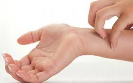 Dấu hiệu bệnh sán chó ít gặp khi nhiễm nhưng rất nguy hiểm