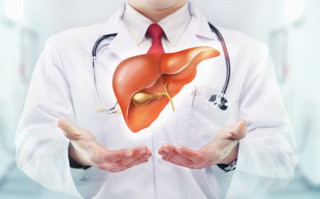 BÍ QUYẾT ĐỂ GAN KHỎE MẠNH