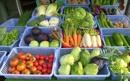 KHÔNG PHUN CHẤT KHỬ KHUẨN LÊN THỰC PHẨM 