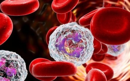 Xét Nghiệm Có Chỉ Số Bạch Cầu Ái Toan Tăng, Nguyên Nhân và Cách Điều Trị