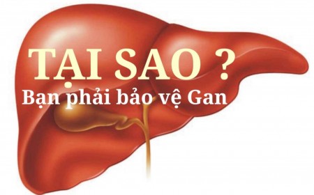 Xét Nghiệm Máu Chức Năng Gan