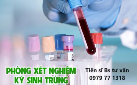 Xét Nghiệm Sán Chó Mèo Ở Đâu? Có Cần Nhịn Ăn Không?