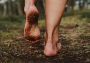 Bệnh Giun Móc Ancylostoma Duodenale: Tổng Quan Và Cách Phòng Ngừa