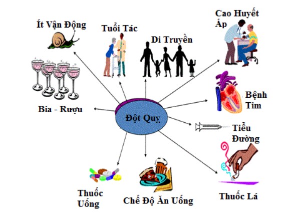 CHẾ ĐỘ DINH DƯỠNG PHÒNG NGỪA ĐỘT QUỴ