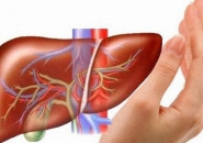Quy Trình Xét Nghiệm Điều Trị Bệnh Sán Lá Gan