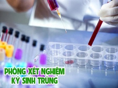 Các loại ký sinh trùng thường được xét nghiệm?
