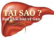 Xét Nghiệm Máu Chức Năng Gan